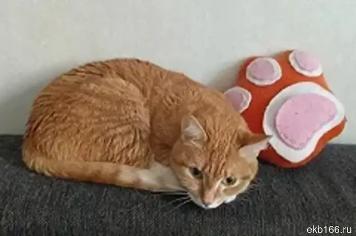 It became known who ultimately became the artistic director of "Kolyada-Theater".