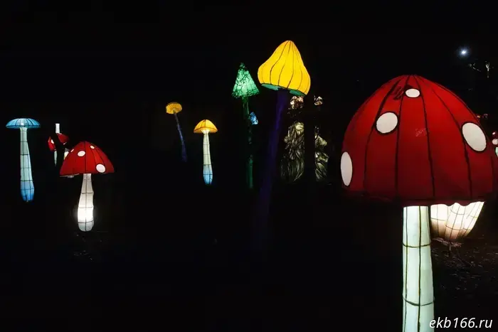 The "Kingdom of Magical Lights" festival opened in Mayakovsky Park. Photo report.