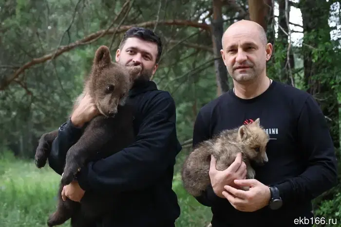 Jeff Monson came to Sysert and hugged a bear.