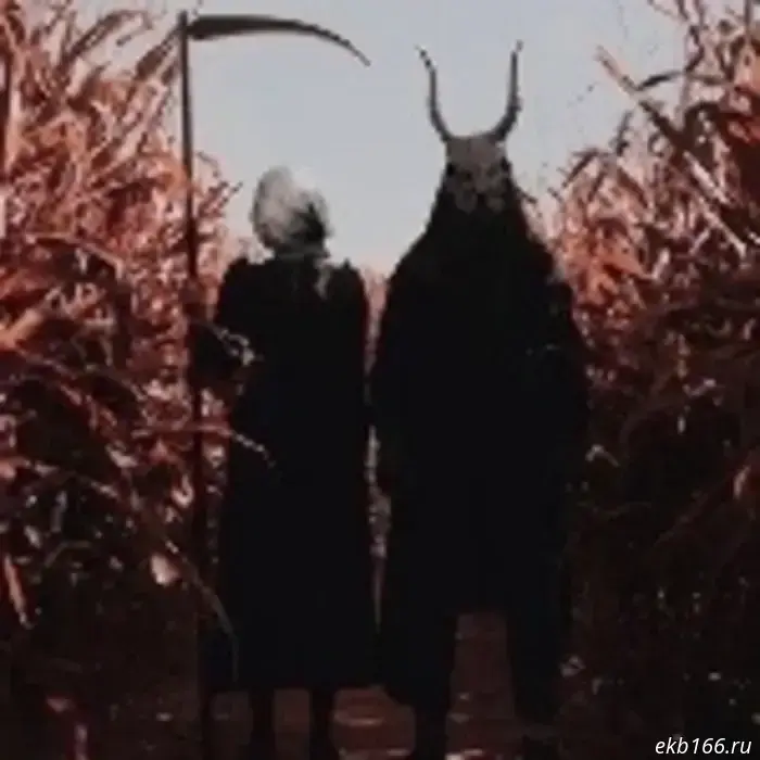 Ekatеринburg residents filmed wild boars near Tagan Square