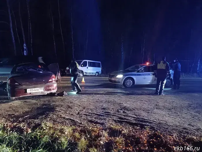 The Kia driver died on the Siberian Trakt as a result of an overtaking maneuver.