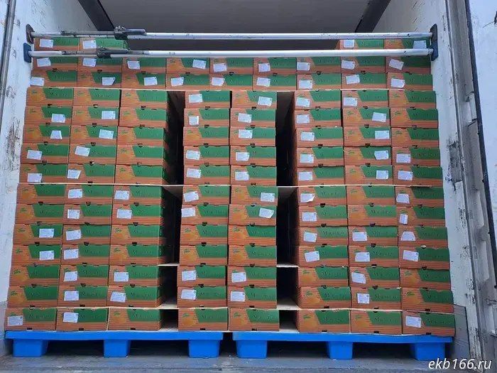 Личи и маракуйя впервые были высажены на Урале.