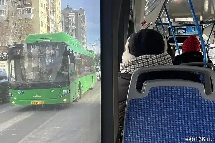 В Екатеринбурге запустят дополнительный автобус до мемориального комплекса.