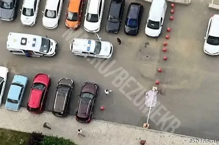 На Сортировке молодой человек погиб, выпав из окна.