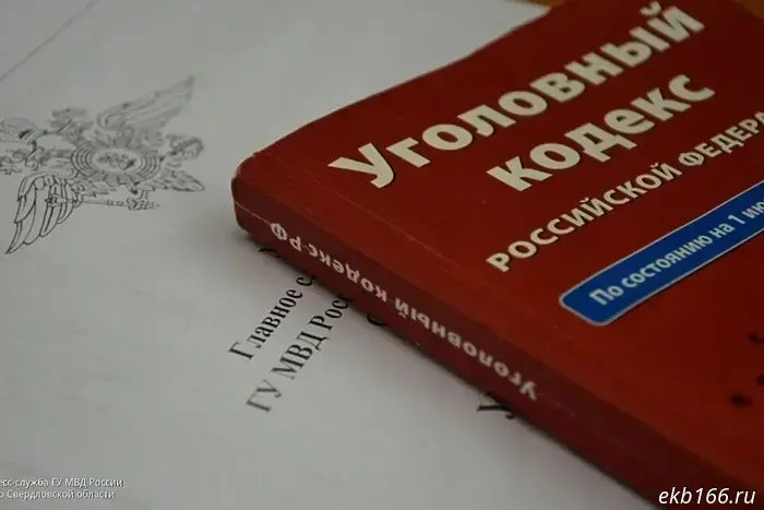 Bastrykin will oversee the criminal case into the street beating of a teacher in Yekaterinburg.