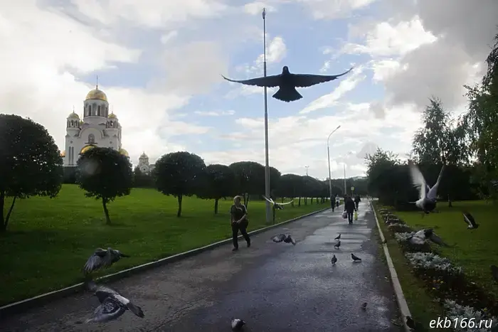 The authorities decided to reduce the area of Yekaterinburg.