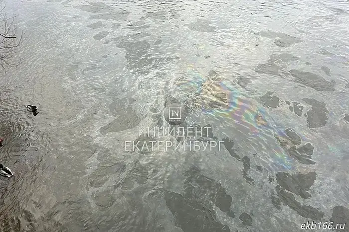 A woman from Yekaterinburg noticed that something was being dumped into the Iset at Uktus.
