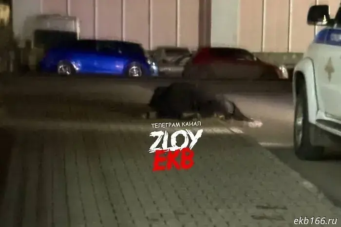 A girl's body was found at the reinforced concrete plant.