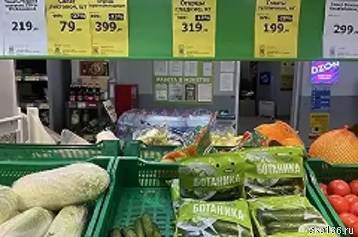 Свердловскстат сообщил о средней цене на огурцы.