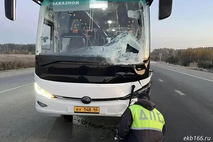 Вокруг Верхней Пышмы автобус смертельно сбил человека.