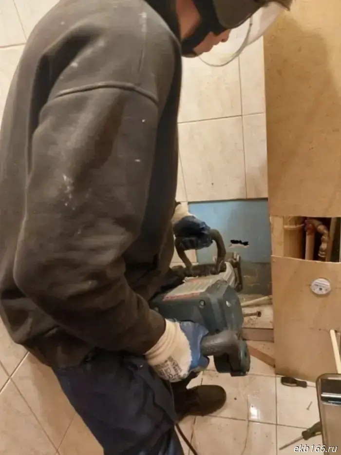 A residential building in Sverdlovsk Oblast was kept awake for a week by a cat.