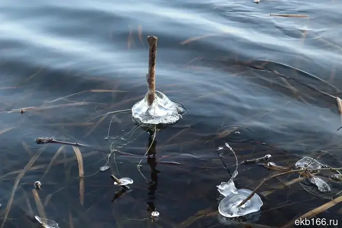 The "Vodokanal" stated that the water quality in Yekaterinburg meets SanPiN standards.
