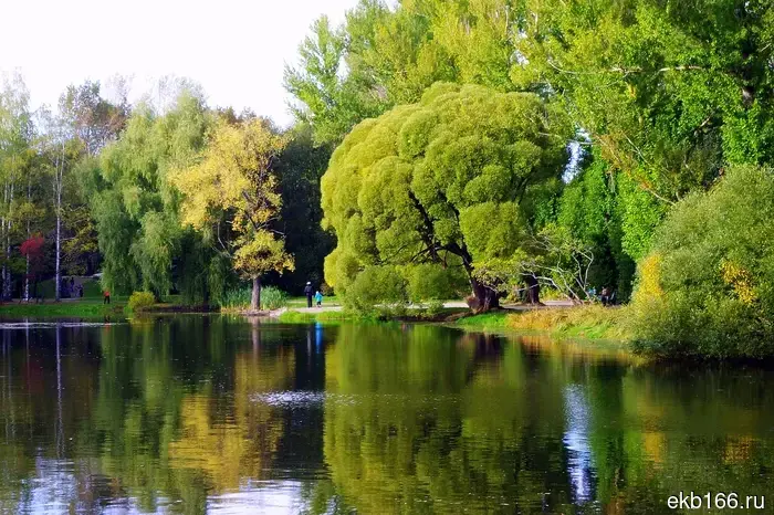 The city hall will spend tens of millions of rubles on the improvement of the Yekaterinburg dendrarium.