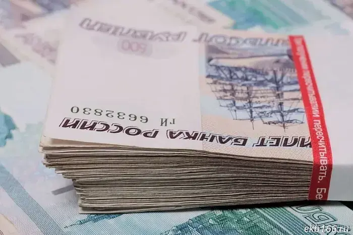 A resident of Yekaterinburg went into the forest for mushrooms and found stacks of money.