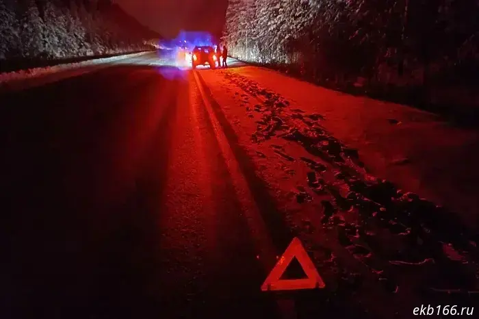 Police officers helped a family in a car that had broken down on the Serov Trakt.