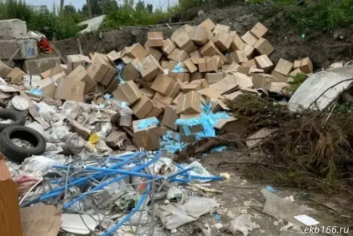 Под Екатеринбургом одобрили строительство сразу двух комплексов для утилизации отходов.