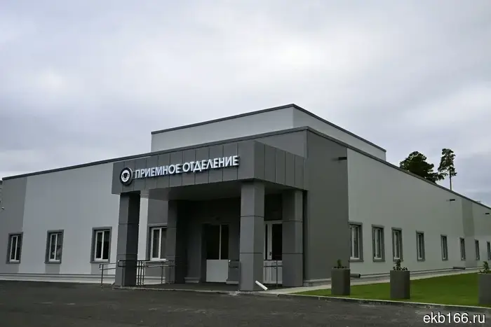 Екатеринбуржцы обнаружили неточности в мурале на стене нового здания ГКБ №40.