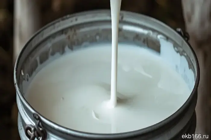 Карантин по пастереллезу установлен только в одном муниципалитете Свердловской области.