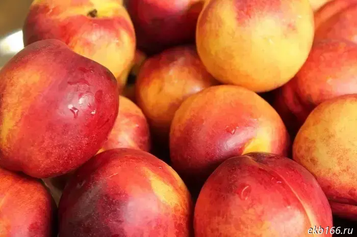Tons of infected fruits were imported into Sverdlovsk region.