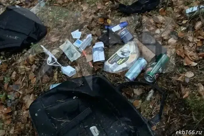 ГУ МВД: Обнаруженное в лесу под Ивделем тело без головы принадлежит мужчине.