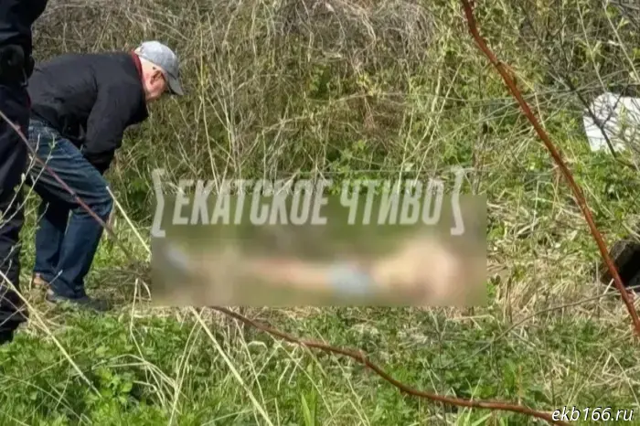 Пояснили истинную причину смерти молодого человека, чей обнаженный труп был найден в Екатеринбурге с вырванными глазами.