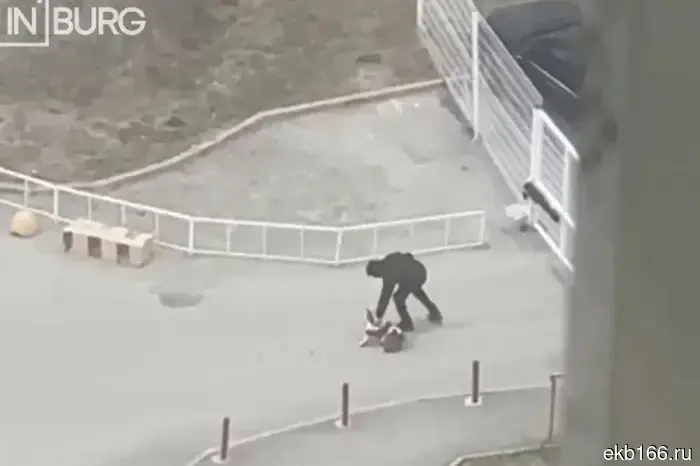 A resident of Yekaterinburg beat a dog in the yard.