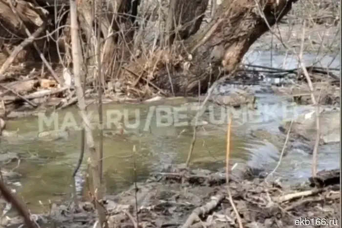 A sewage leak into the Iset River was noticed in the Uktus area.