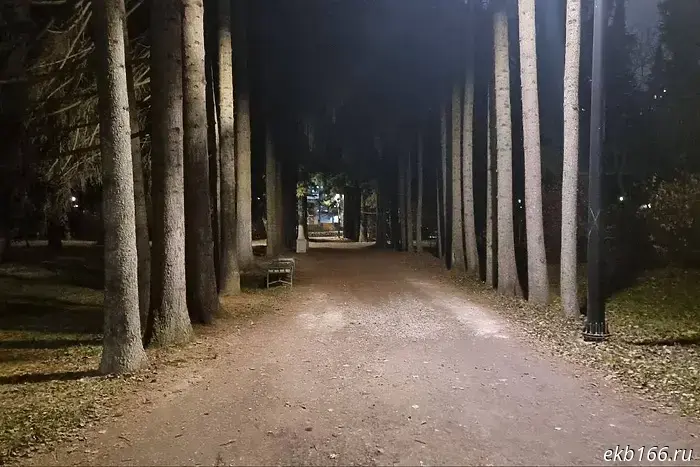 В Дендропарке на улице Первомайская установили освещение.