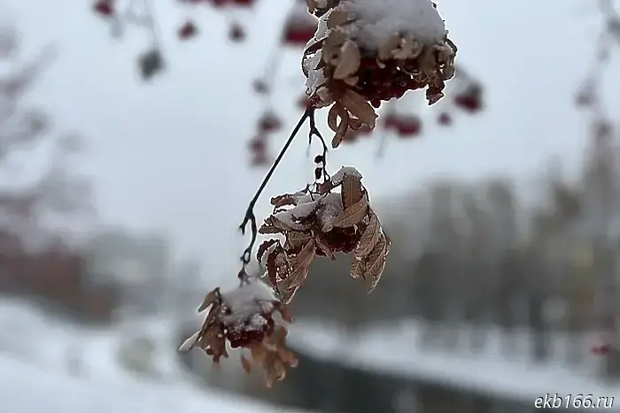 Meteorologists have said what the weather will be like in Yekaterinburg in December.