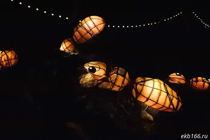 The "Kingdom of Magical Lights" festival opened in Mayakovsky Park. Photo report.