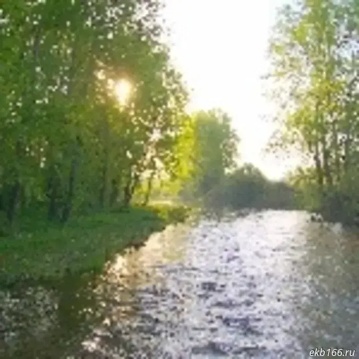 The Yekaterinburg mayor's office linked the decline in birth rates to rising incomes among the population.