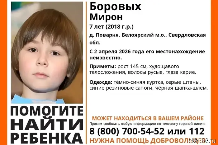 Под Екатеринбургом исчез семилетний мальчик.