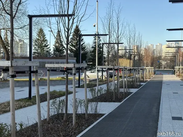 A new park with giant dandelions has appeared in Yekaterinburg.