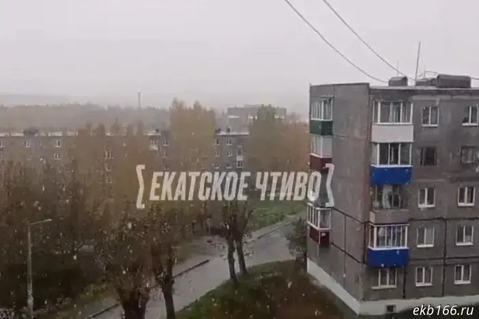 В Свердловской области выпал первый снег.