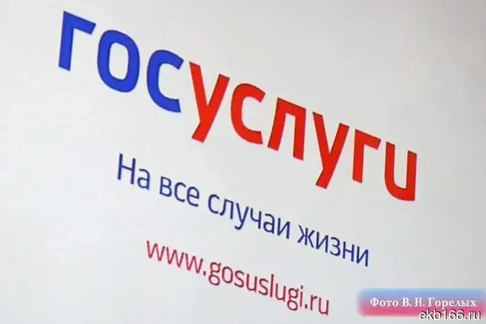 The Sverdlovsk police advised Ural residents to check their foreign passports.