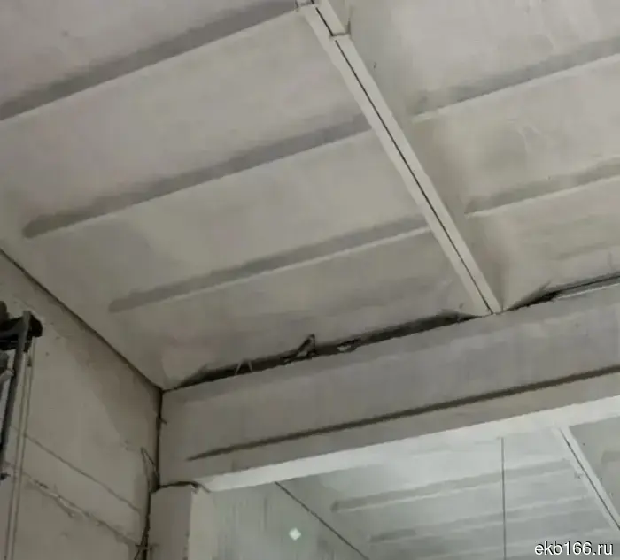 Rescuers freed a falcon from captivity in a Tagil car service.