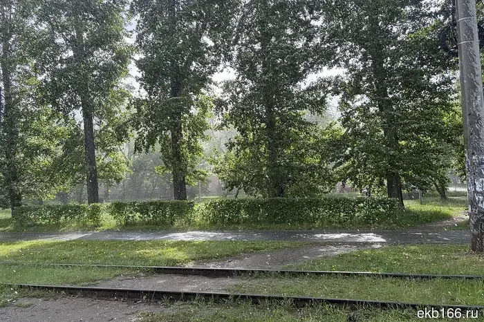 Свердловскую область ожидают дожди.