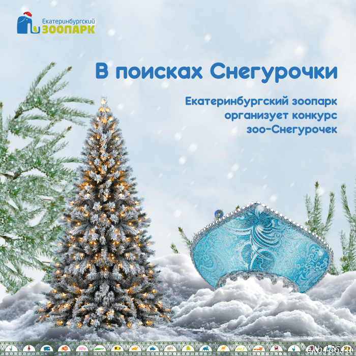 Yekaterinburg Zoo asks for help choosing a Snow Maiden (PHOTO)