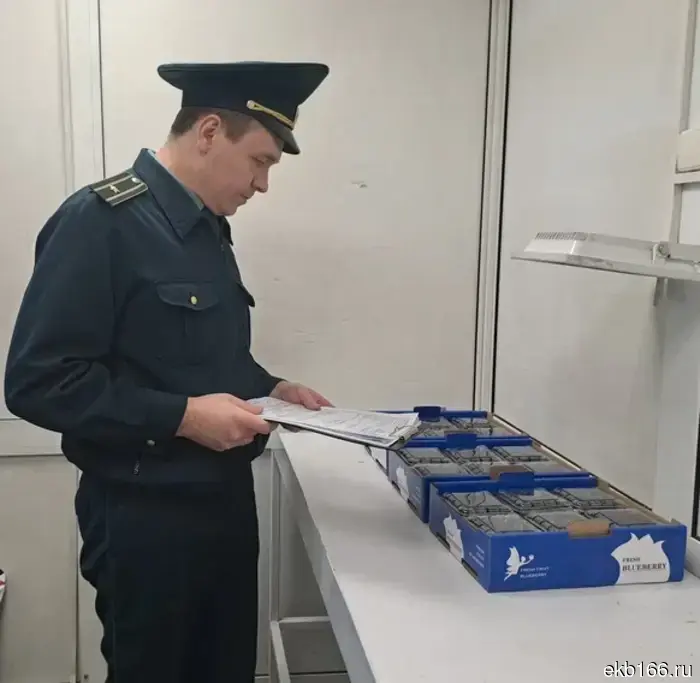 The first batch of blueberries from China was cleared by Ural customs officials.
