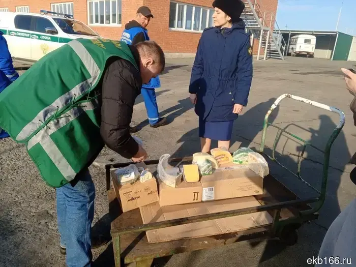 На Урале сожгли партию санкционного сыра из Европы, изъятого у торговцев (ФОТО).