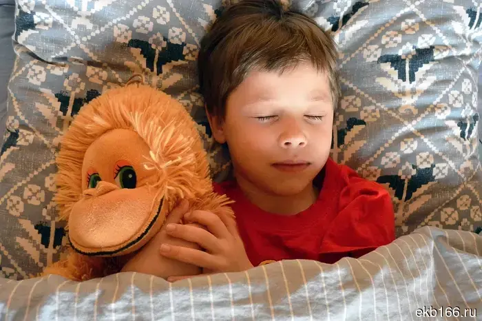 В Свердловской области предложили установить час для сна для работников офисов.