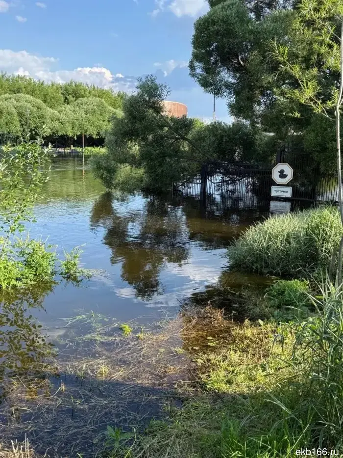 Water approaches the Dendropark: the Iset River in the center of Yekaterinburg has overflowed its banks again - photo