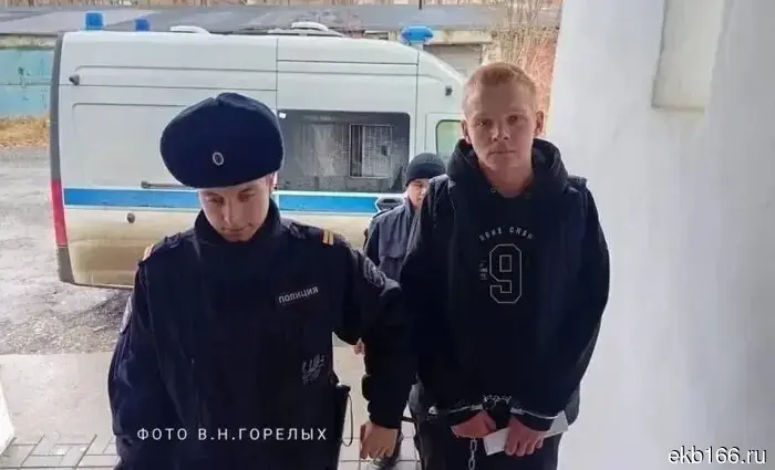 The case of the attack on the actor from "Finist the Clear Falcon," Voskresensky, in the Urals has been sent to court (PHOTO)