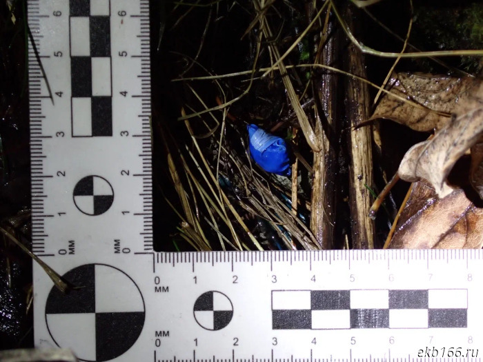 Sverdlovsk police have started detaining drug stashers using drones (VIDEO)