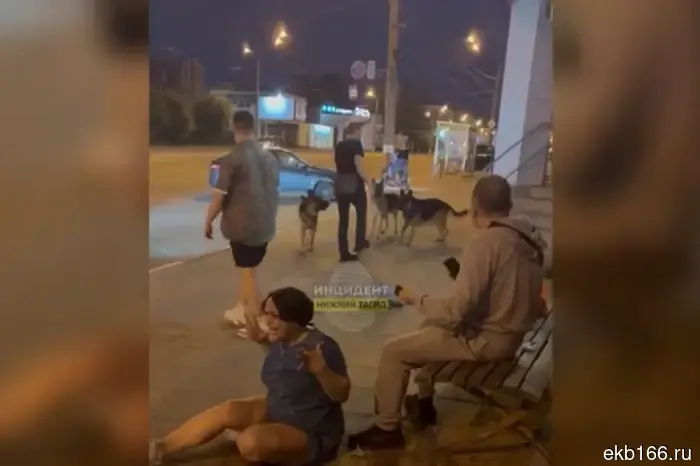 В интернете появились жуткие записи, на которых собачник спускает своих овчарок на тагильчан.