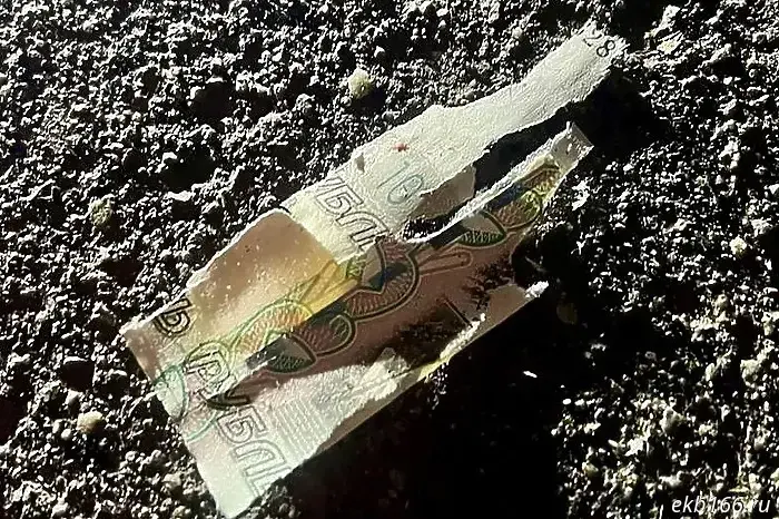 После ЧП в Красногорске силовые органы напомнили о последствиях распространения фейков о волне ложных минирований.