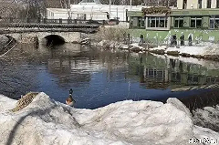 A man died at the Belozersk Reservoir after falling through the ice.