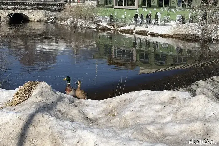 Климат изменяется быстрее, чем было предсказано: Свердловская область испытывает нехватку воды.