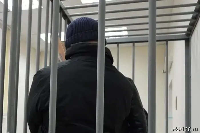 Подозреваемый в нанесении побоев екатеринбургскому ученому арестован.