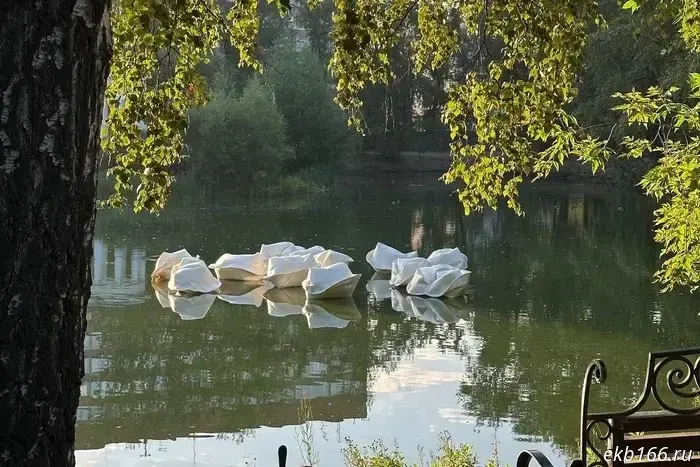 Giant dumplings spotted in a pond in Yekaterinburg